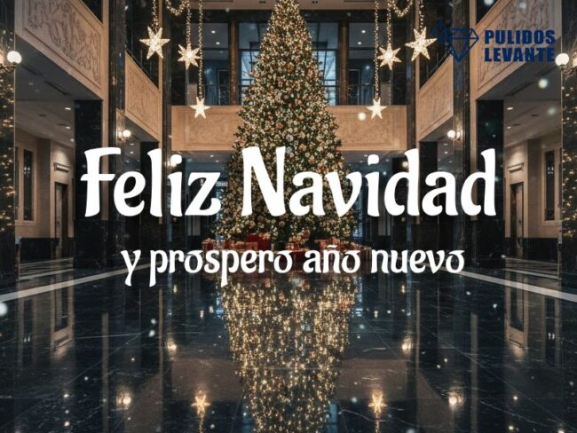 Feliz Navidad y prospero año nuevo